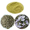 Low plasticizers 100% pure rosemary extract