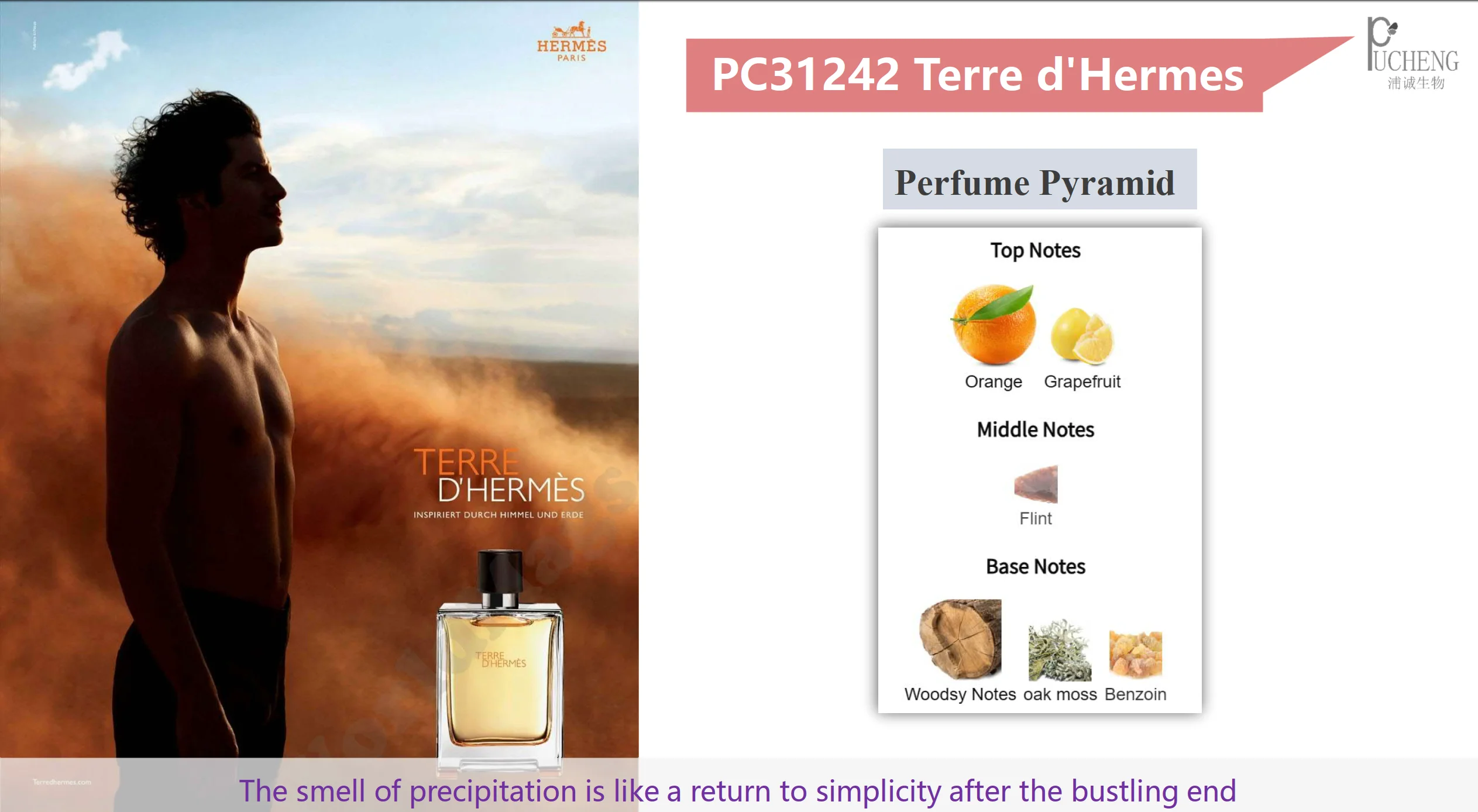 Scandal Jean Paul Gaultier,Luxury Perfume Fragrance Oil From Givaudan