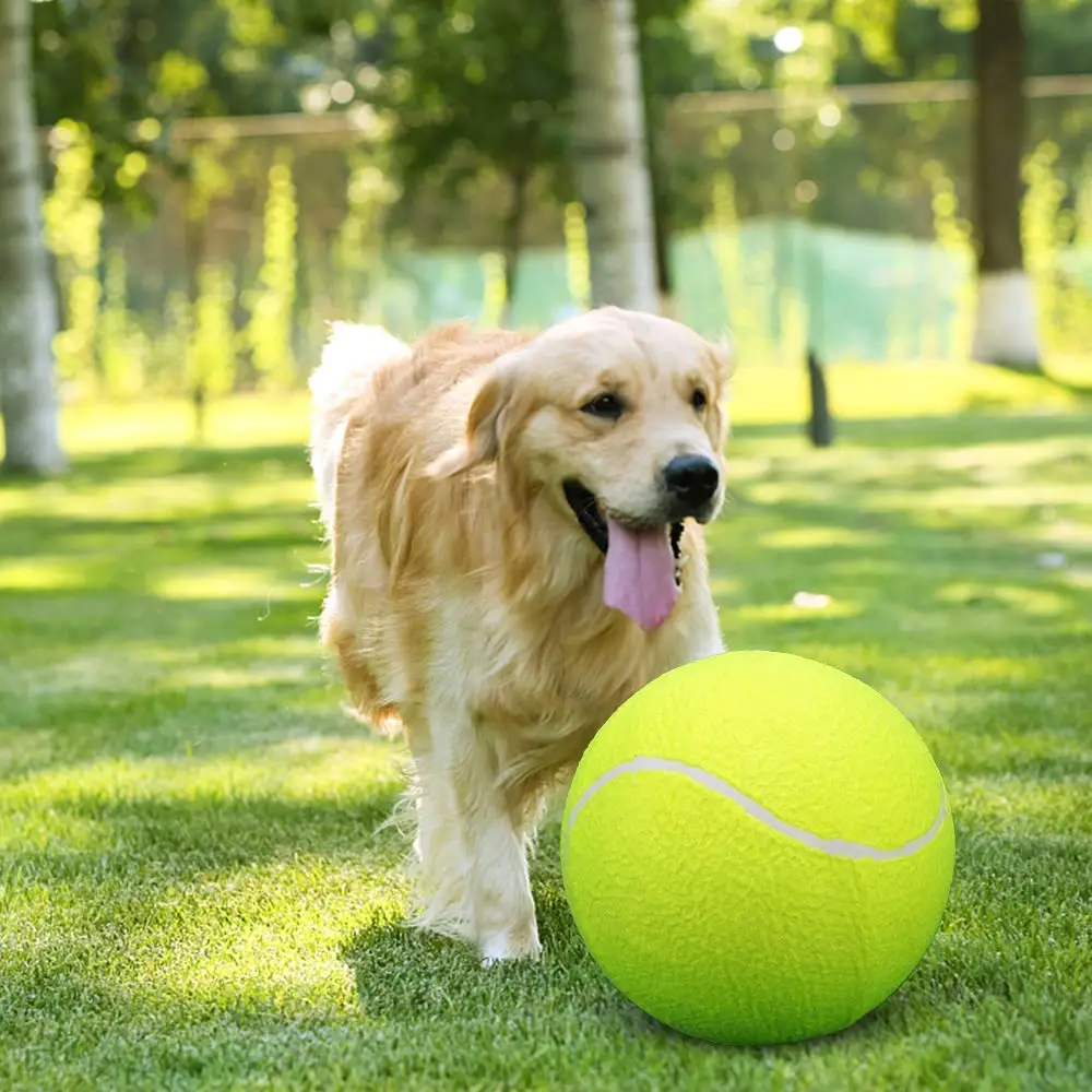 big tennis ball for dogs