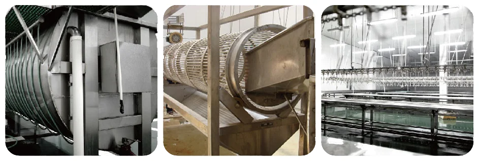 2020 Modern Chicken Slaughterhouse Blucker for Sale