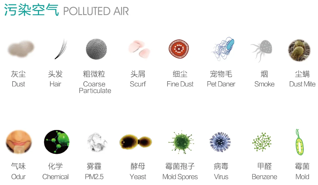 polluted air.png