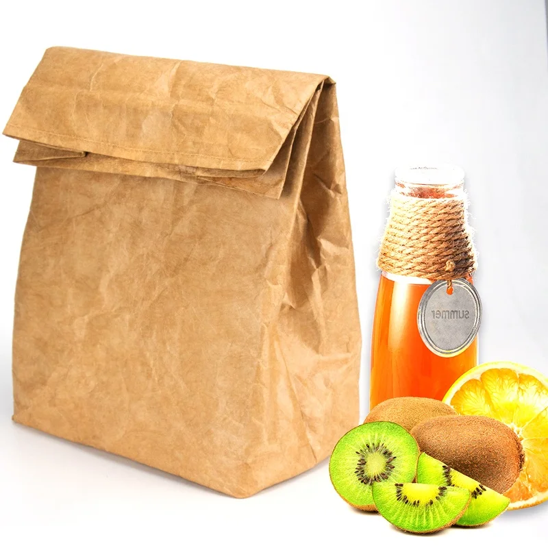 brown paper tyvek insulated lunch bag