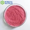 natural plant colour extract Lac dye Red Food Grade