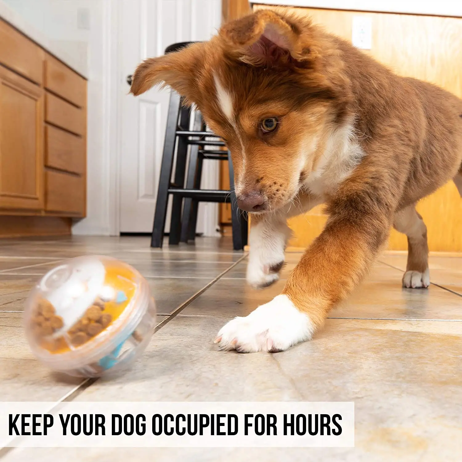 Pet Zone Iq Treat Ball Adjustable Dog Treat Dog Ball And Treat