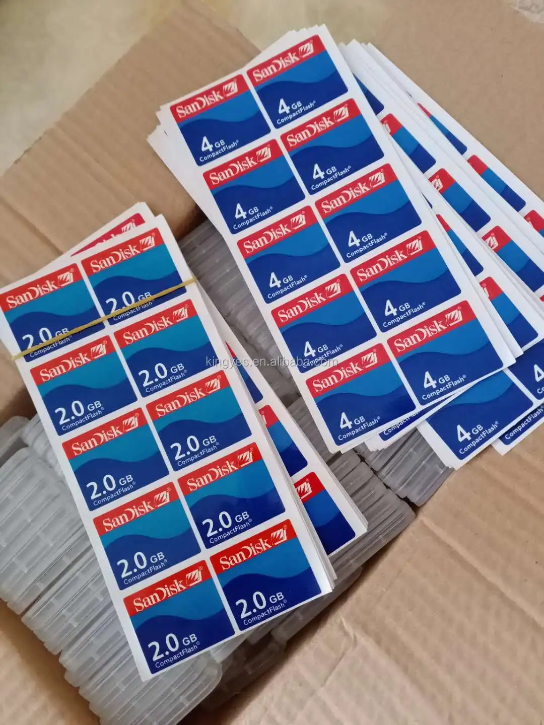 CF Sandisk sticker.jpg