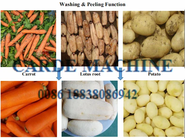 potato peeler with brush