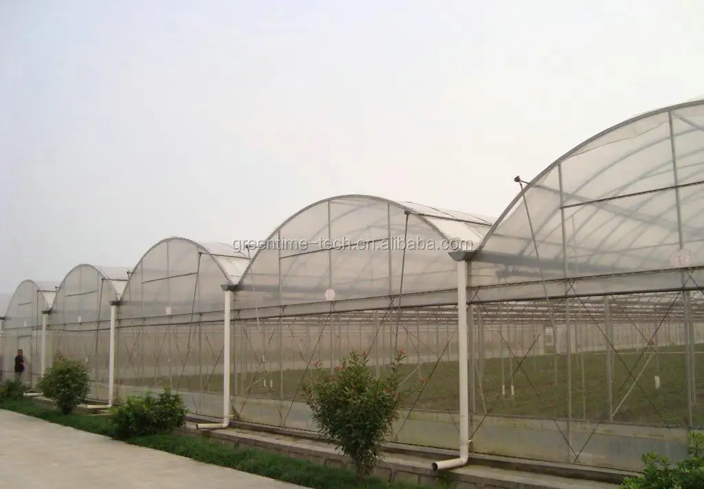 Gutter Connected Multi Span Film Greenhouse With Frame Sell Used For ...