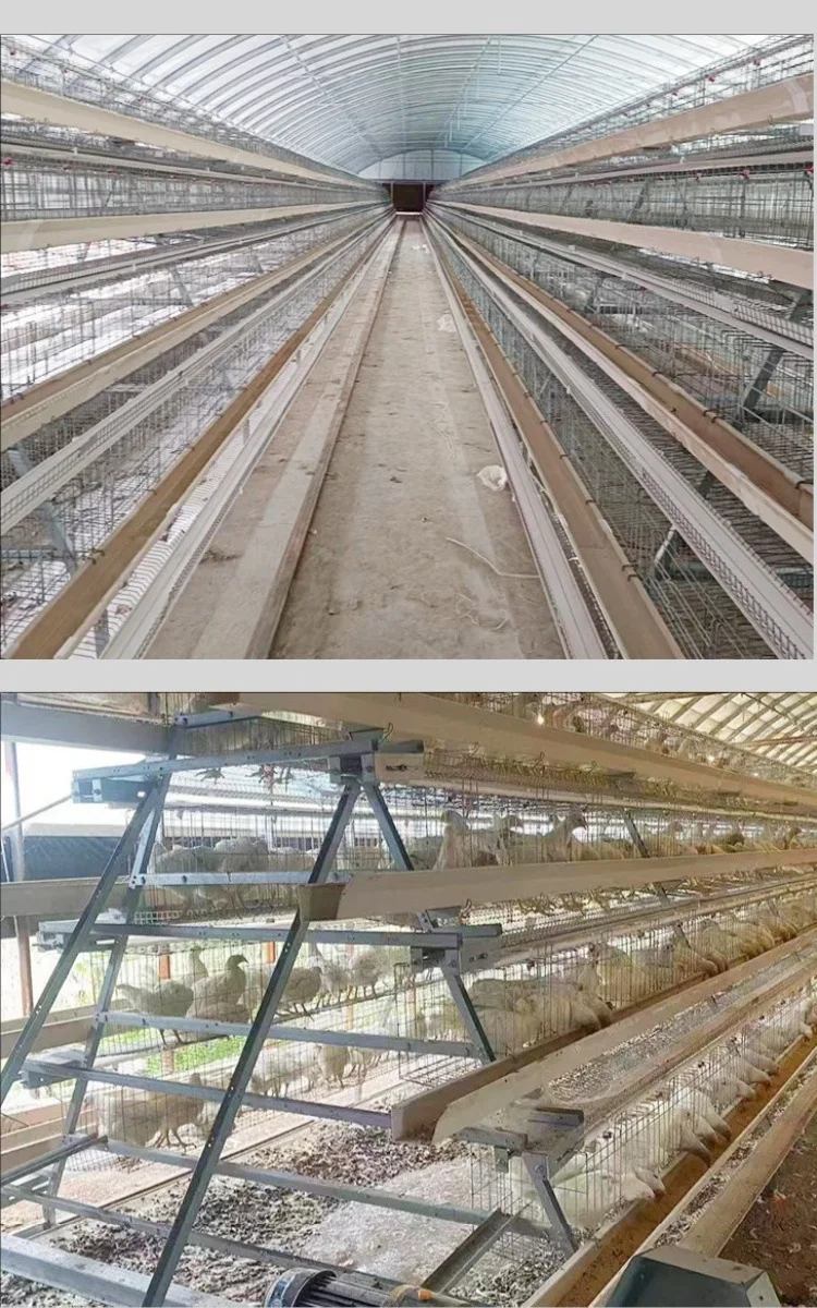 SURRI New Multi-Layer Stepped A-Shaped Stacked Chicken Cages Hot-Dip Galvanized Wire for Home Farming