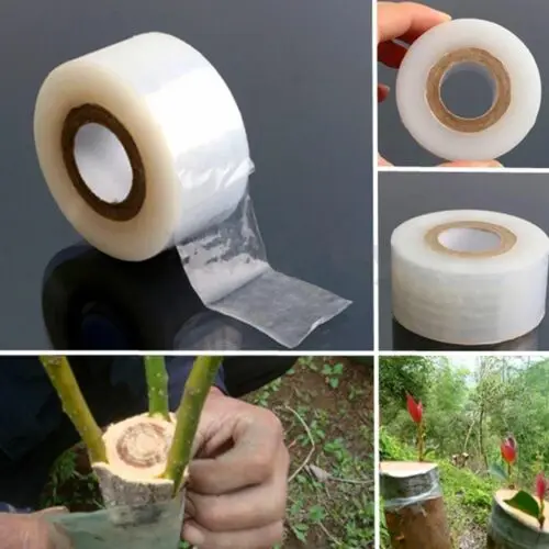 Self-adhesive Garden Fruit Tree Transparent Stretch Grafting Tape