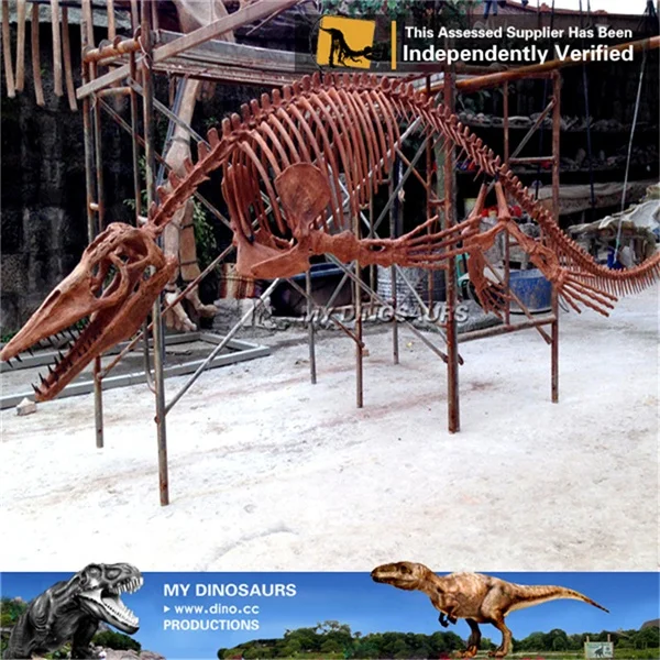 モササウルス 骨 [MS81] 化石 レア よみがえる海生爬虫類「1/32 Imaginary Skeleton モササウルス