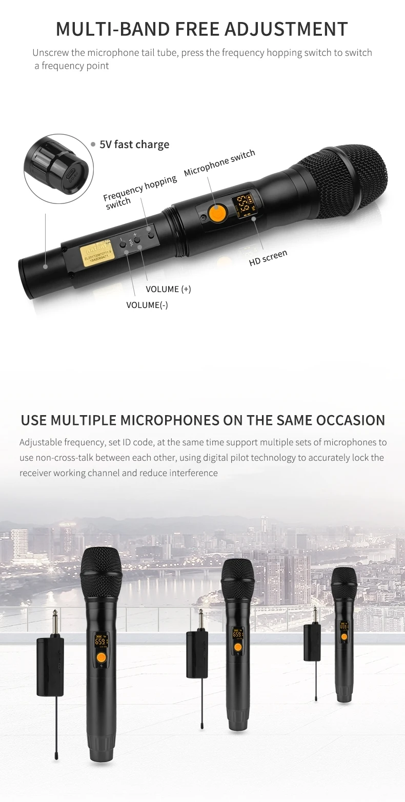 Soundmark Professional Wireless Dynamic Coil Ktv Microphone Portable