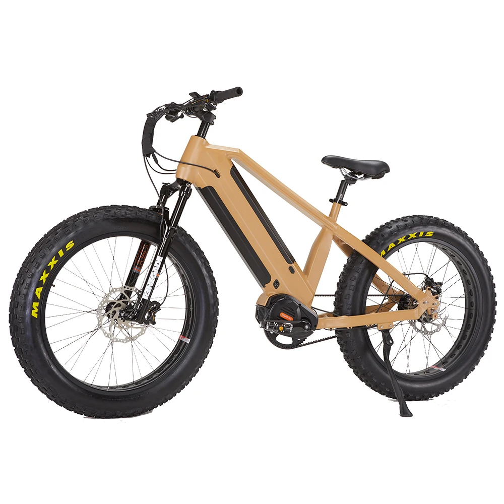 Dual Battery Electric Fat Bike