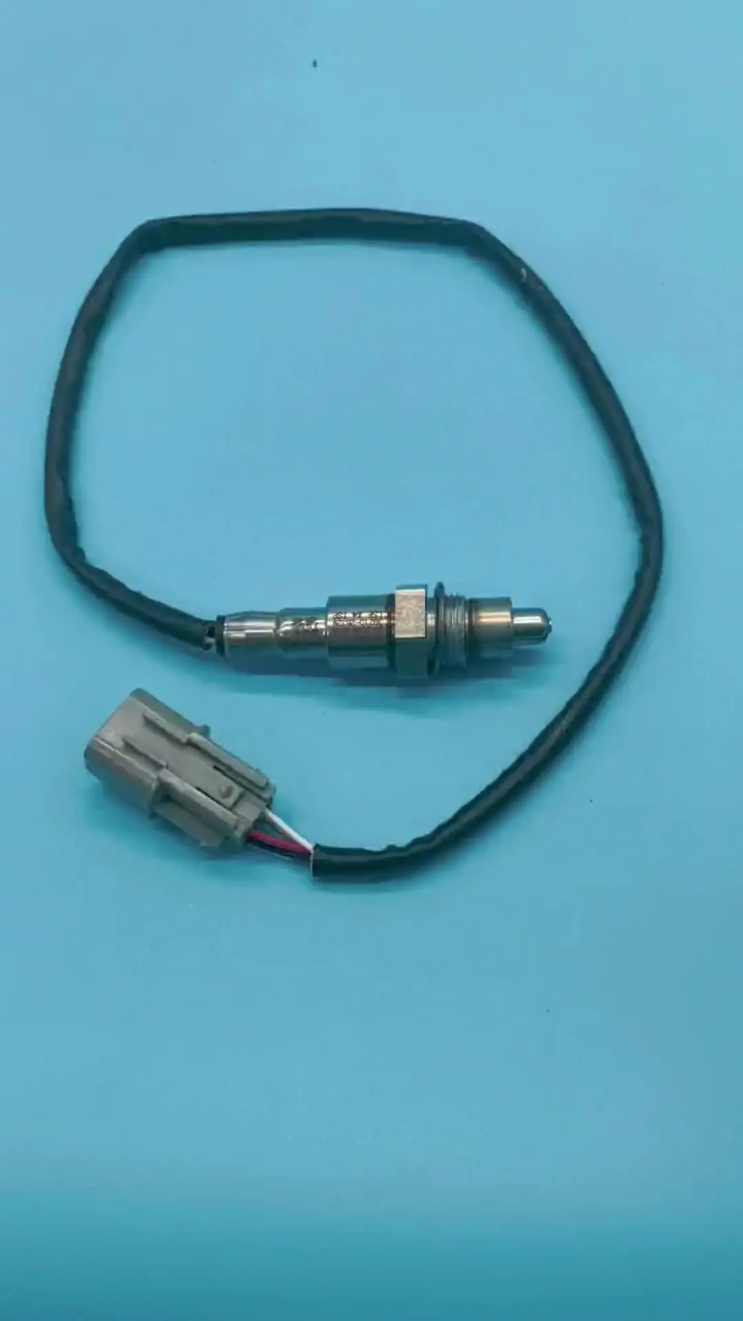 カツオ 楽天市場】【ふるさと納税】【山実水産】もちもち 生カツオ たたき 6節