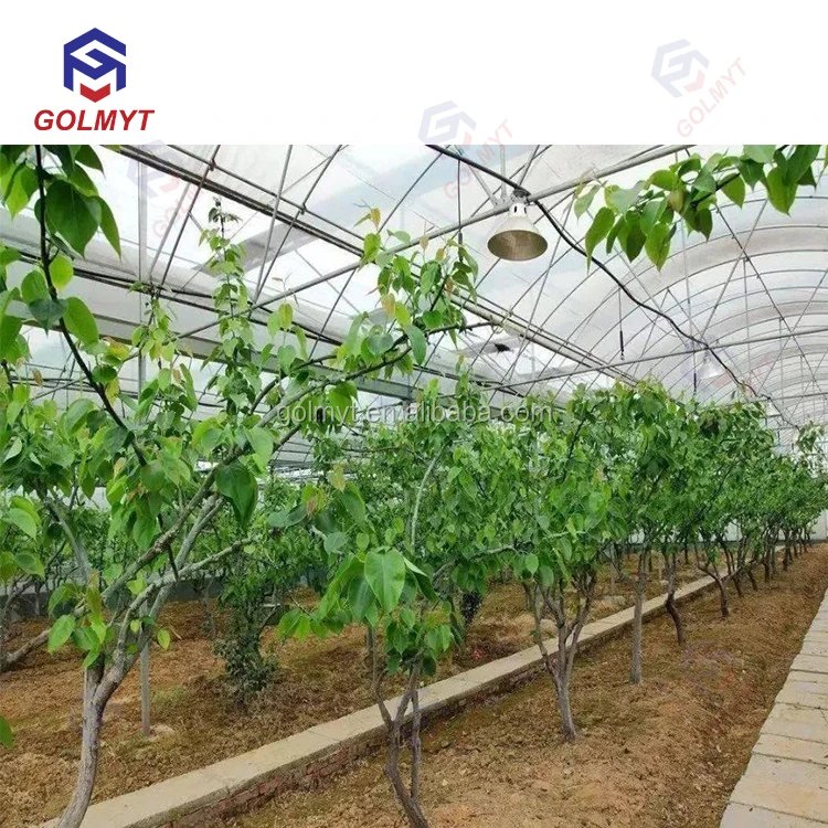 Garden Vegetable Fruit Polytunnel Grow Tunnel Greenhouse Poly Cloche