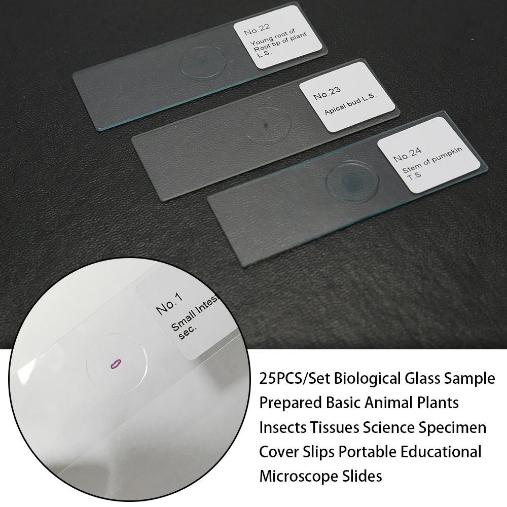 Medical Zoology Parasitology Microscope Prepared Slides For Teaching Learning