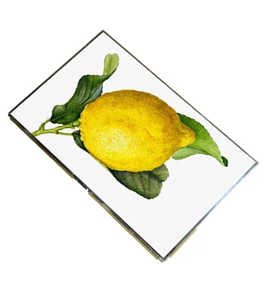 10.5 inch ips lcd display.jpg