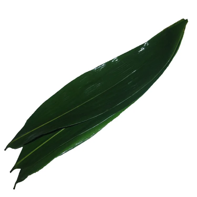 fresh dried bamboo leaves for zongzi or sushi