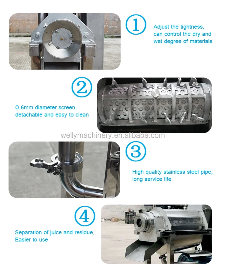 Cold Pressed Pineapple Fruit Juice Processing Machine Cold Press Ginger