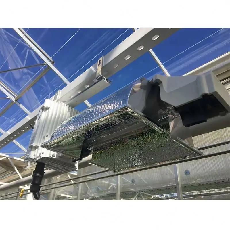 Grow Lights for Indoor Plants DE Double Ended 1000W HPS HID Grow Light Kit