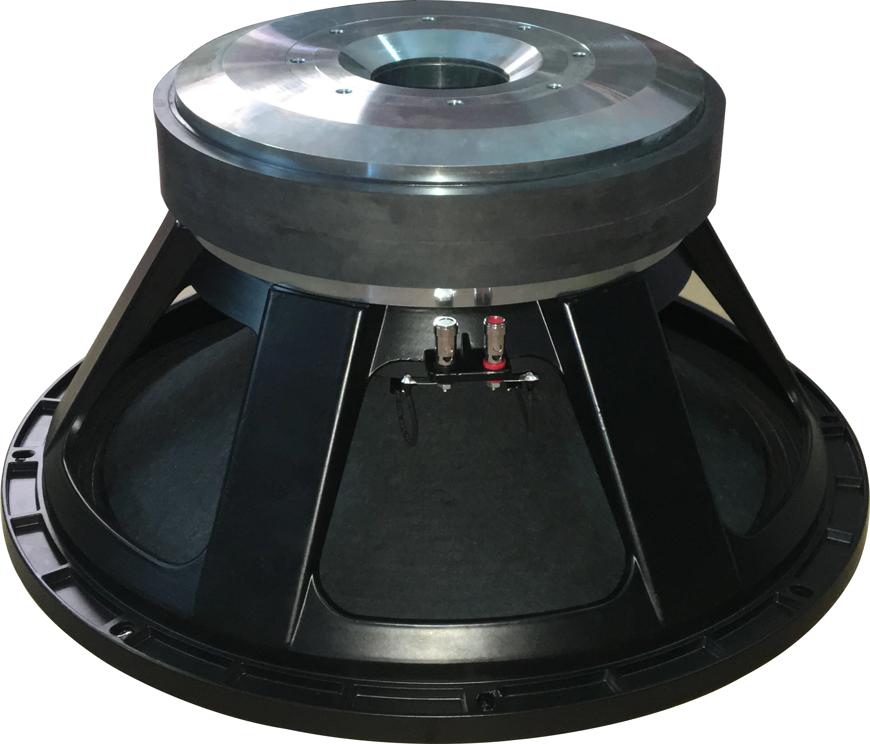 18 inch double magnet speaker