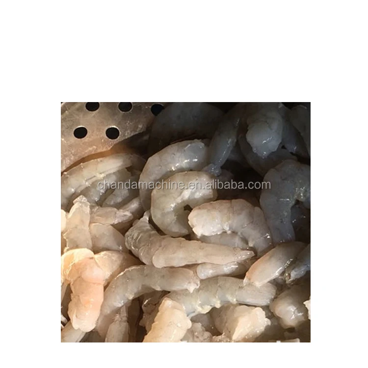 shrimp peeling machine (2).jpg