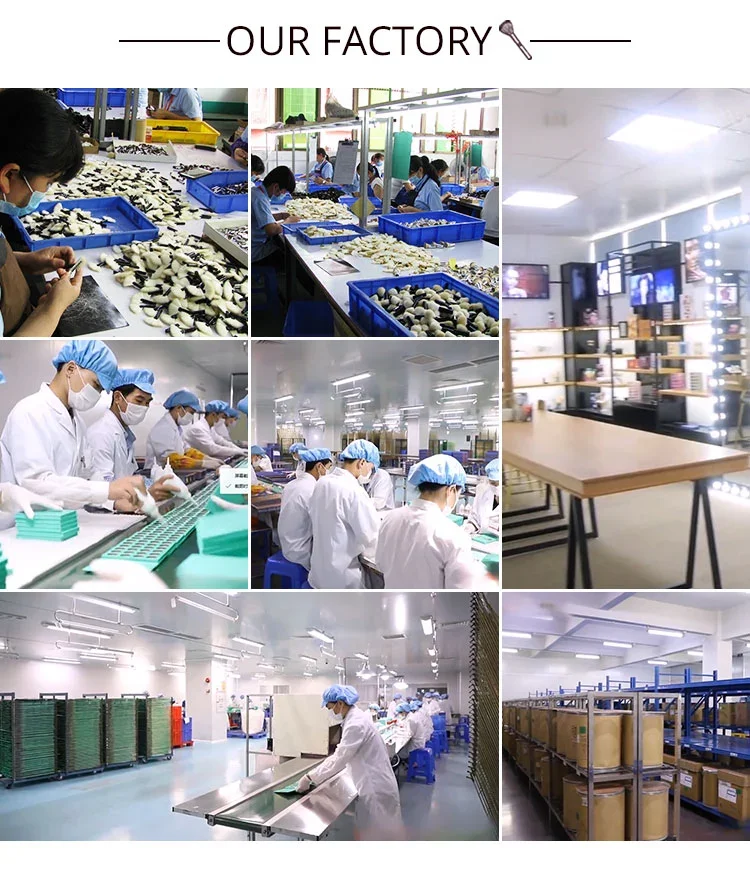 Wholesale Cosmetic Tool Set Travel Portable 4 Piece Makeup Brush Set with HD Mirror Box factory