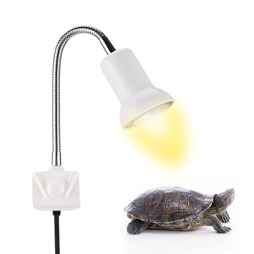 turtle light holder