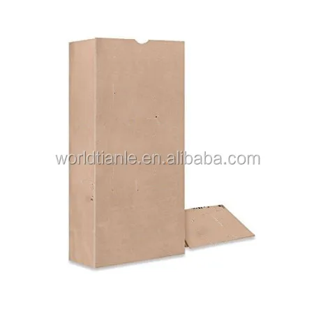 paper waste leaf bag.jpg
