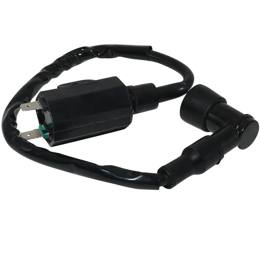 Ignition Coil Motorcycle at Jay Moore blog