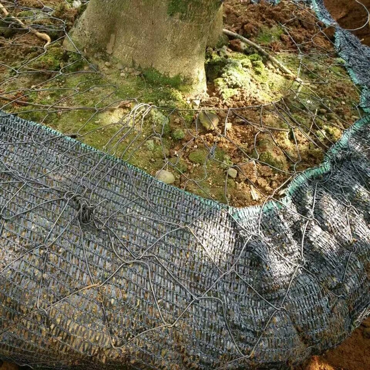 Tree Wire Basket,/tree Root Ball Netting For Tree Root/remove Trees Wire Mesh Buy Tree Wire