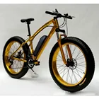 26 インチ脂肪タイヤ今バイク 21 スピード山の電動自転車道路電動自転車 36V 10.4AH 26*4.0 脂肪タイヤ、雪のバイク