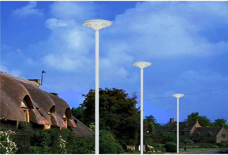 solar garden light (7)