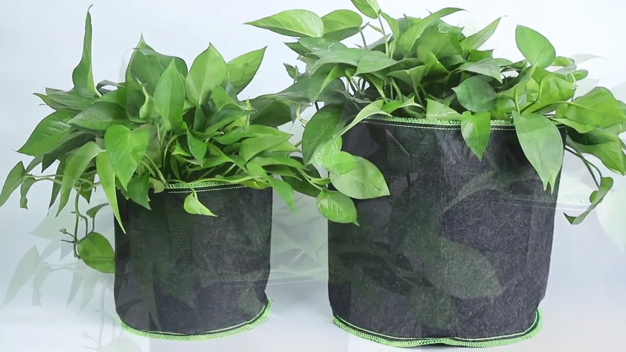 Hydroponic Felt Jute Grow Bag Ecofriendly High Capacity Burlap Planter