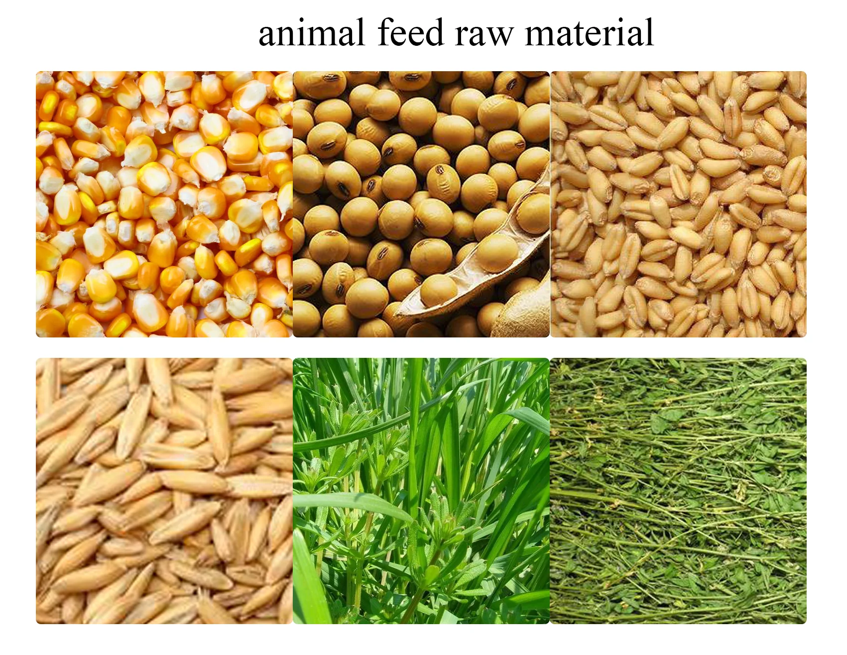 feed raw material