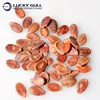 Hot Selling Chinese Raw types of red small watermelon seeds powder