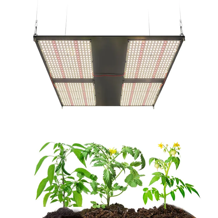 Flower Plant Full Spectrum Cob Grow Light Panel Samsung Lm301b Indoor Led Grow Lights
