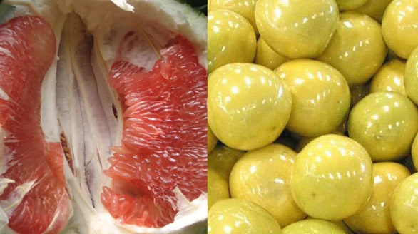 Honey pomelo 35.jpg