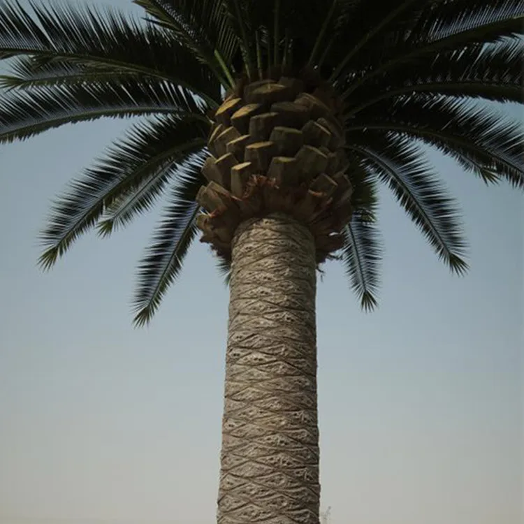 Artificial Fake Fan Palm Tree Leaves Barhi Date Palm Tree In Saudi