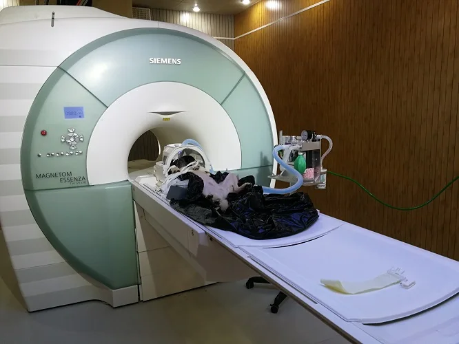 IV-1300 in CT room