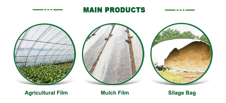 Profession Increase Production Black And White Mulch Film