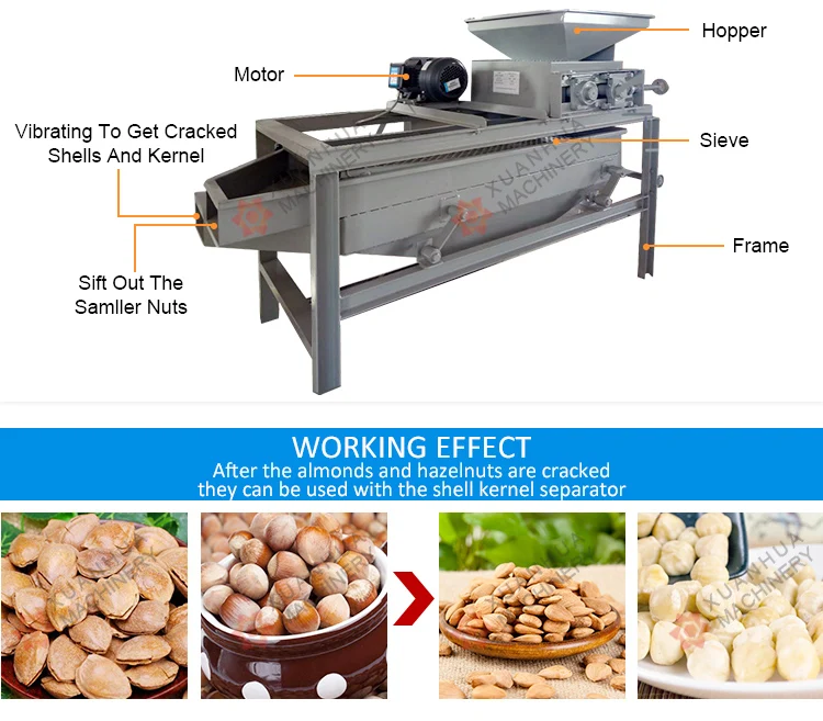 Almond Opener Industrial Nutcracker Cocoa Bean Cracker Winnower