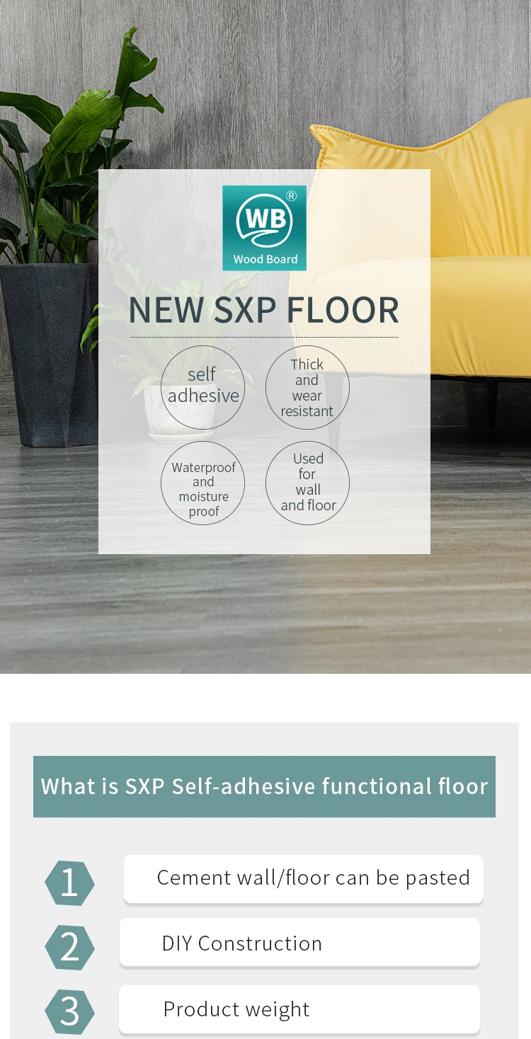 SXP-_01.jpg