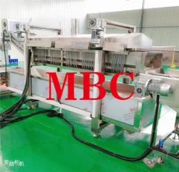 potatoes blanching machine .png