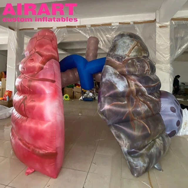 Inflatable Lung Display Giant Inflatable Lung,Big Lung Inflatable,Lung Inflatables For Display ...