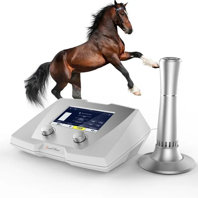 Equine shockwave therapy machine for sale, View equine shockwave