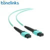 Optical 3mm Lan Network Pre Terminated Assembly Code Mtp Mpo Function Standard Length Fiber Optic Patch Cable