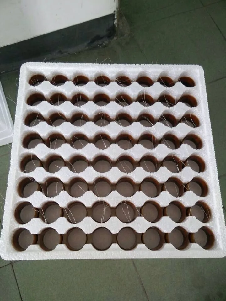 bsv3" professional heat resisting voice oil 76.