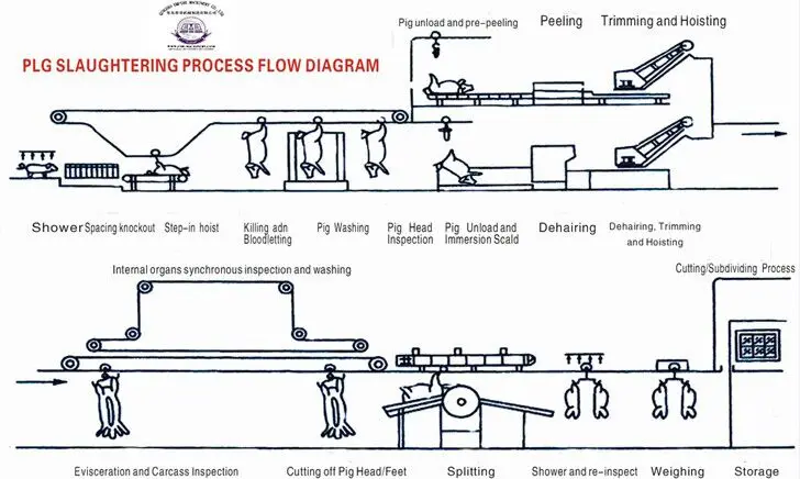 Технологическая схема убоя свиней