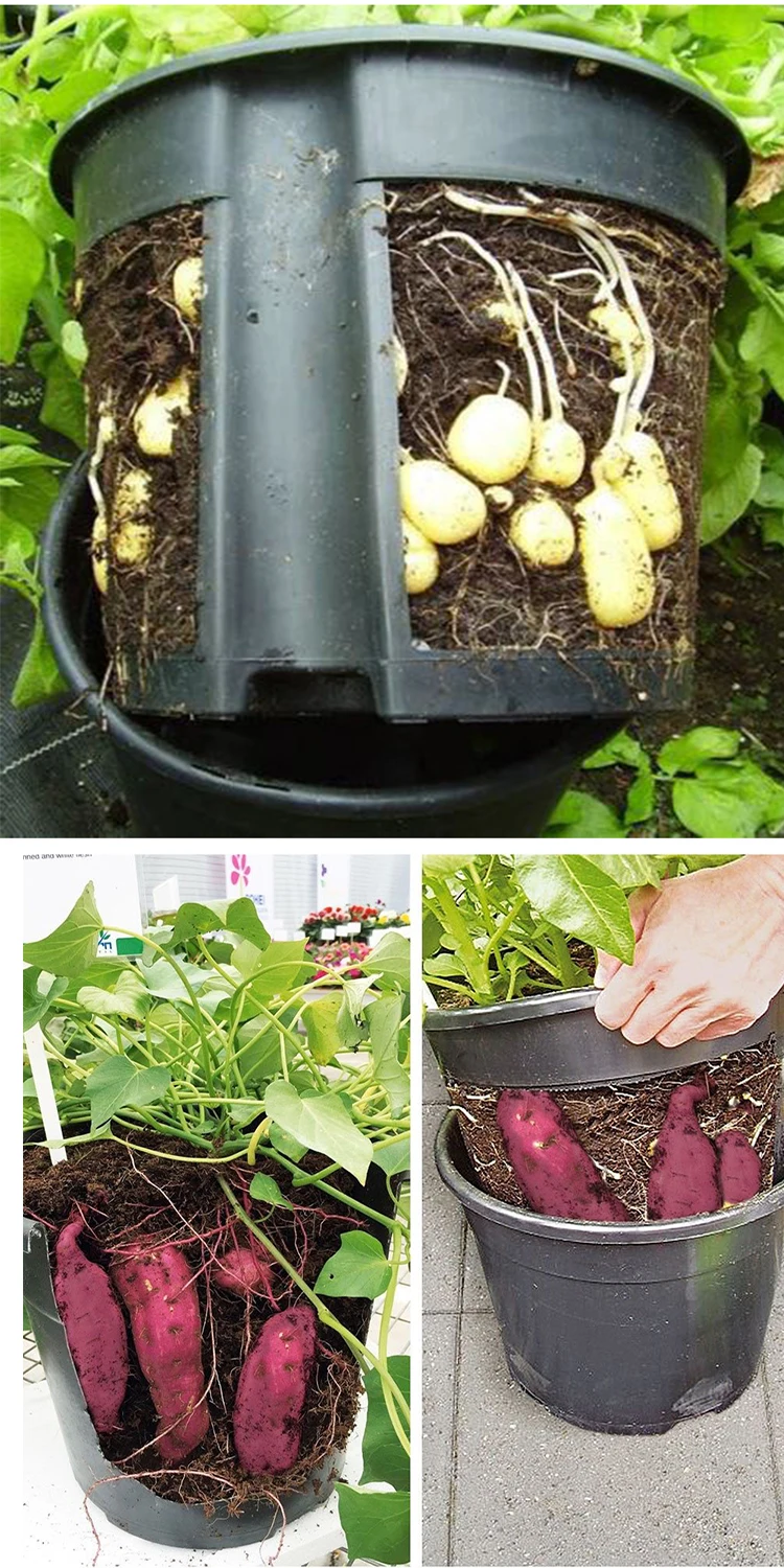 Skyplant Round Bato Bucket For Potato Flower Black Agriculture
