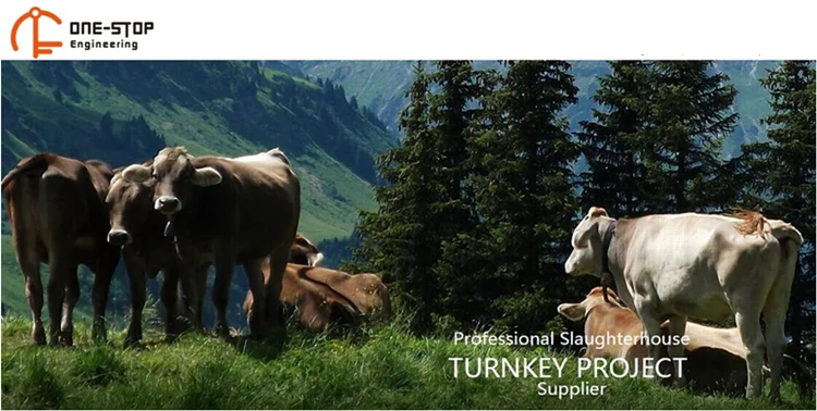 halal_cow_butcher_slaughter_line_meat_processing_abattoir_equipment